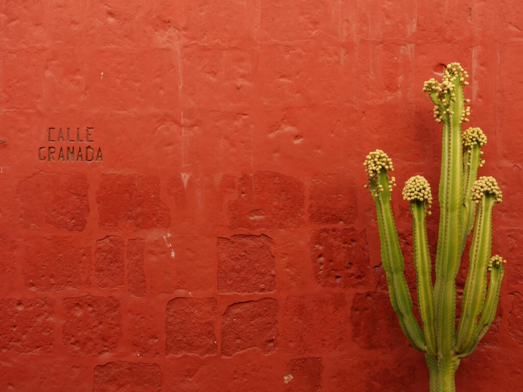 Agile Mindful Leadership innere Haltung Wirkung